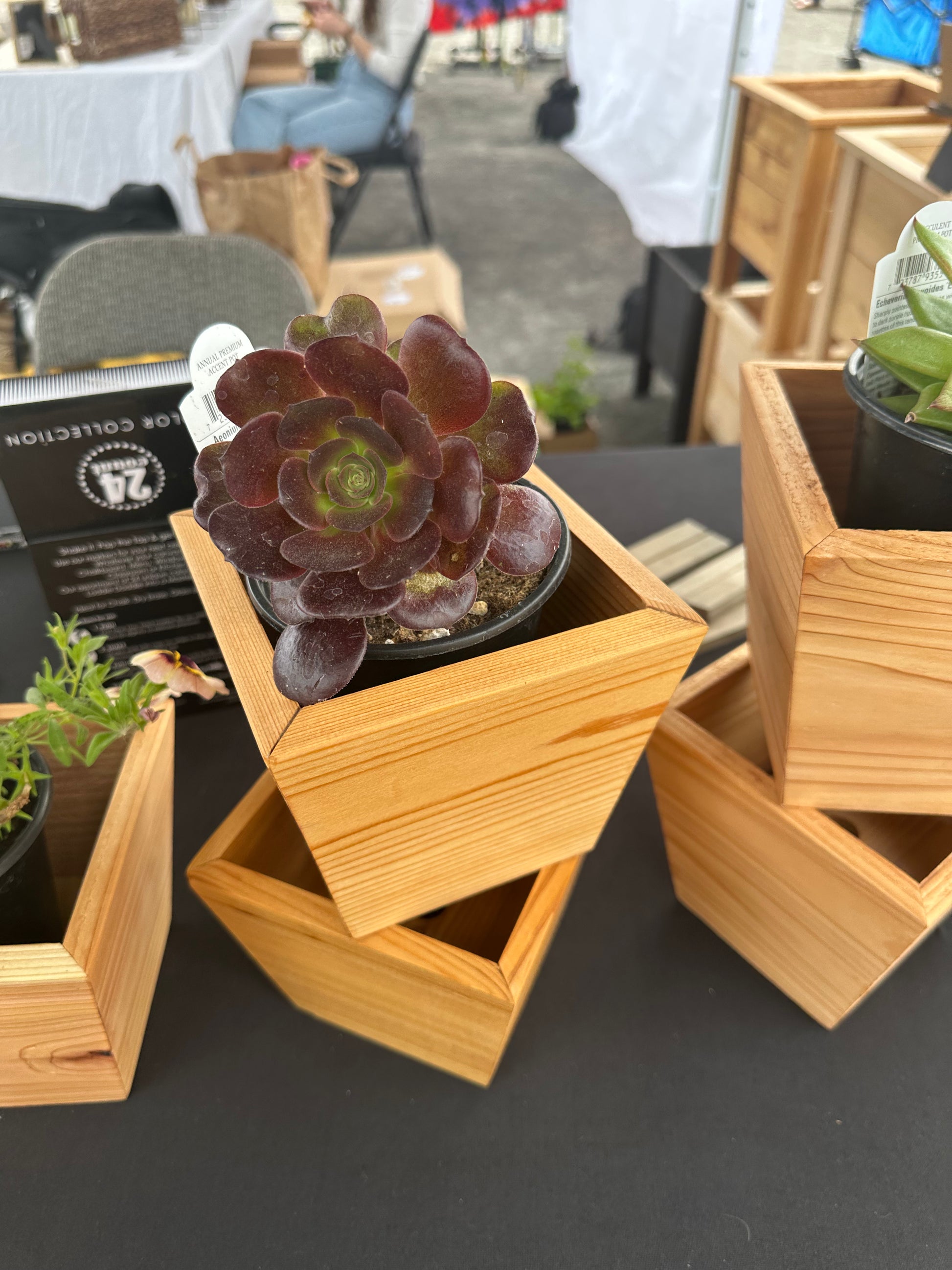 long succulent planter box Succulent Planter Box – Three Trees Designs